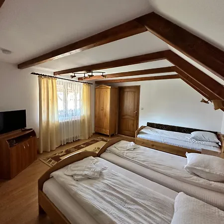 Pensiunea Dorina Guest house Botiza