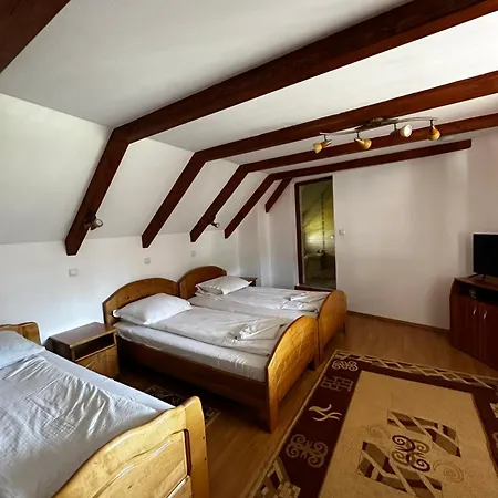 Guest house Pensiunea Dorina Botiza
