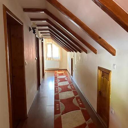 Pensiunea Dorina Guest house