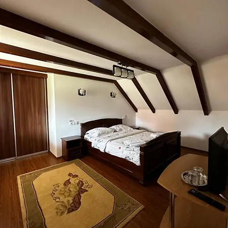 Guest house Pensiunea Dorina
