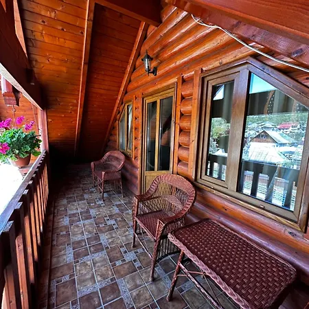 Pensiunea Dorina Guest house *