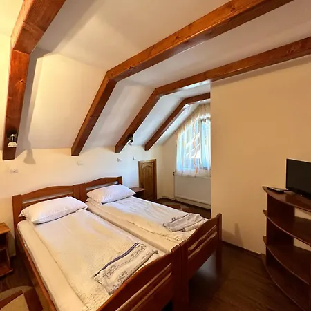 Pensiunea Dorina Guest house Botiza
