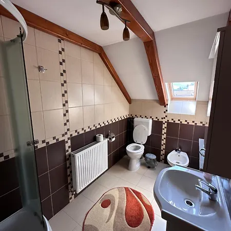 Guest house Pensiunea Dorina Botiza